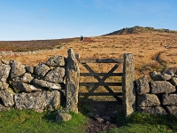 IMG 03508 1000D 800  Hemsworthy Gate, Weg zum Rippon Tor, Dartmoor