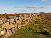 IMG 03520 1000D 800  Steinmauer in der Nähe des Hemsworthy Gate, Rippon Tor, Dartmoor