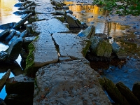 IMG 04489 1000D 800  Tarr Steps, Steiplattenbrücke (Clapper bridge) über die Barle, Exmoor Nationalpark (Winsford, Somerset, South West England, England, Großbritannien)