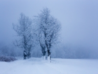 Winter in Böhmen (nahe Telnice)  6D 102574 1024 © Iven Eissner : Aufnahmeort, Böhmen, Europa, Tschechien, Winter