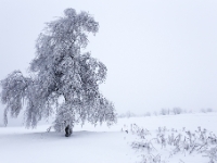Winter in Böhmen (nahe Telnice)  6D 102578 1024 © Iven Eissner : Aufnahmeort, Böhmen, Europa, Tschechien, Winter