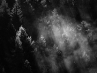 Schrafur  Iven Eissner © Iven Eissner : Aufnahmeort, Deutschland, Elbsandsteingebirge, Europa, Landschaft, Nationalpark, Nebel, Sachsen, Sächsische Schweiz