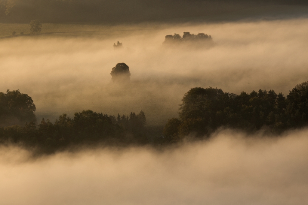 6D_07776.jpg - Nebel auf den Feldern zwischen Königstein und dem Pfaffenstein, Elbsandsteingebirge