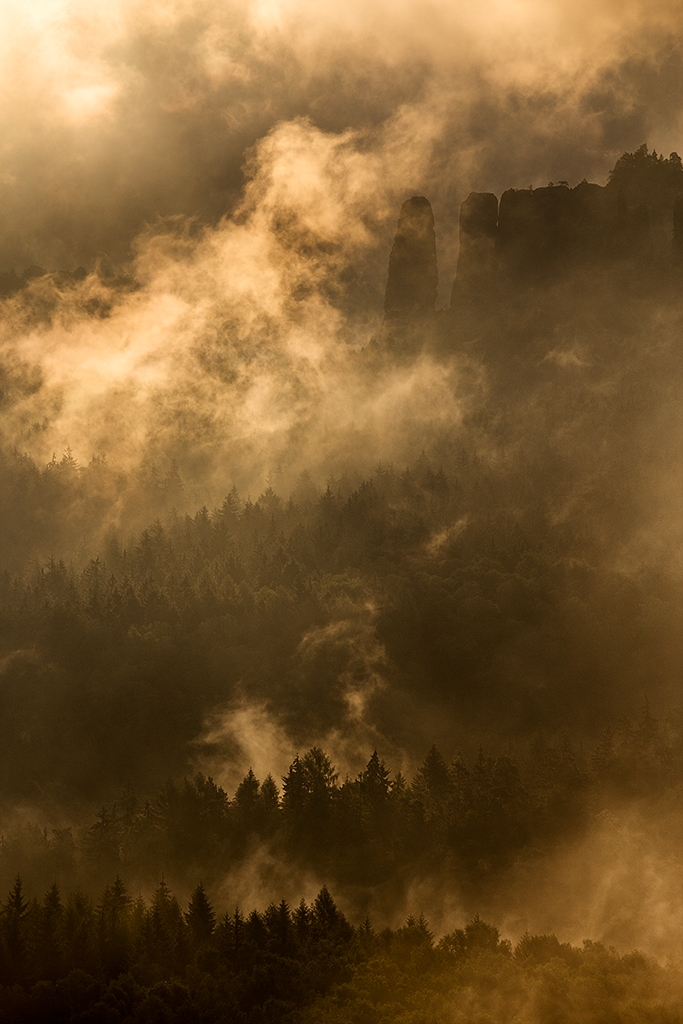 6D_24765_1024.psd - "Gold", Nach einem heftigen Regen steigt der Nebel im Morgenlicht, Elbsandsteingebirge