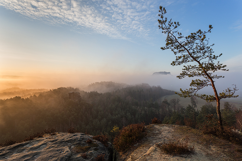 D6_00195_800.jpg - Vom Rauenstein über die Nonne auf den Nebel im Elbtal gesehen.