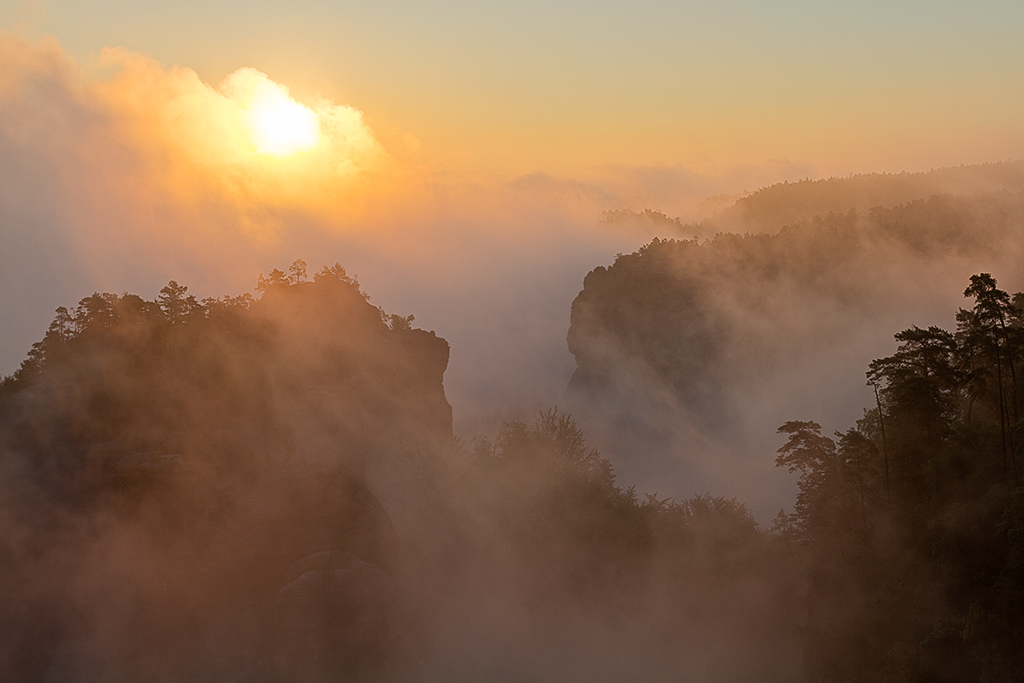 IMG_24355_7D_FSN_PTMX_1024.jpg - Im Nebel fast versunken... Kleiner Zschand, Elbsandsteingebirge (Sächsische Schweiz)