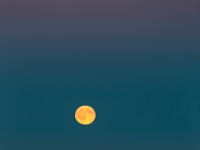 Vollmond  6D 118798 1024 © Iven Eissner : Aufnahmeort, Deutschland, Europa, Mecklenburg-Vorpommern, Rügen, Vollmond, Mond, Meer, Ostsee, Gewässer, Landschaft