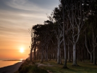 August: Gespensterwald Nienhagen, Ostsee  6D 30922 ML 1024 © Iven Eissner : 2x3, Ausstellung2, Meer, Ostsee