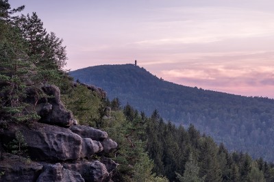 a7RIII_01595_NAL Abendstimmung