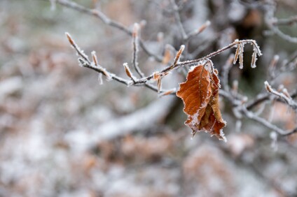 6D_101024_1024 Es ist Winter geworden [6D_101024]