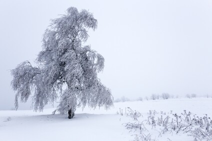 6D_102578_1024 Winter in Böhmen (nahe Telnice)