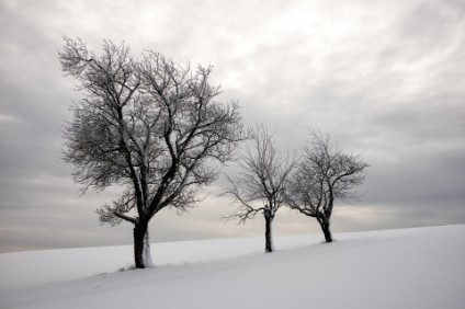 M5_00318_2k Winterlandschaft