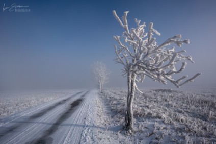 a7RIII_04567_NAL-1 Frost
