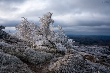 Schneeberg