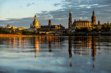 a7IV_25_03937_NAL Dresden