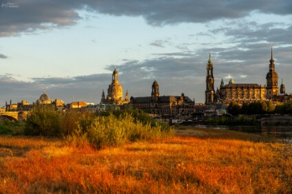 a7IV_25_03948_NAL Dresden