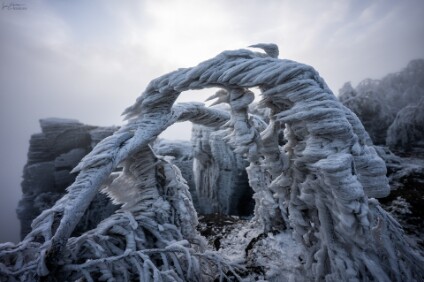 a7IV_25_07275_NAL Tissaer Wände / Tiské stěny