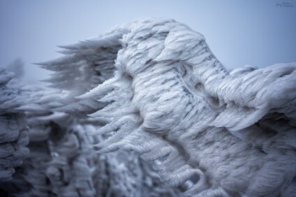 a7IV_25_07459_NAL Tissaer Wände / Tiské stěny