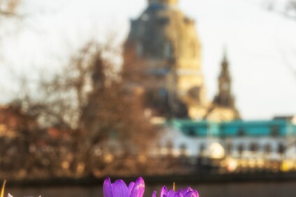a7IV_25_09190_NAL