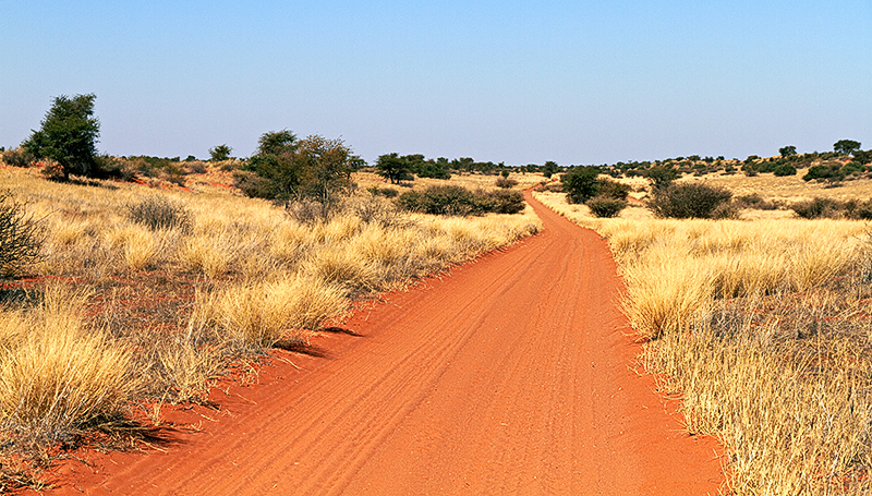 Pad (Piste), Kalahari, Namibia