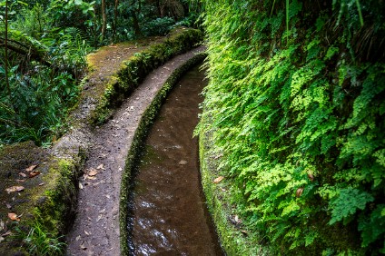 Levada do Rei