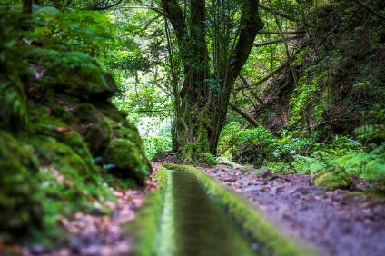 Levada do Rei