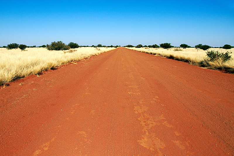 IMG_07001_7D_800.jpg - Pad (Piste), Kalahari, Namibia