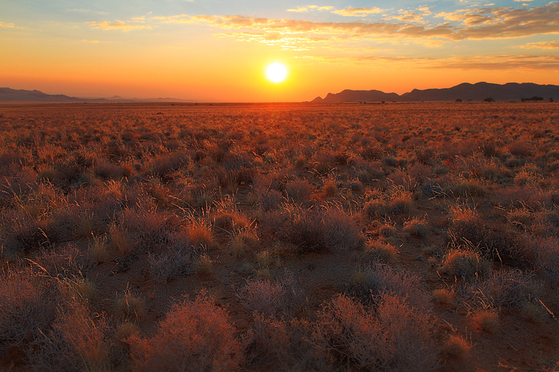 IMG_08374_7D_800.jpg - Namib bei Aus, Namibia