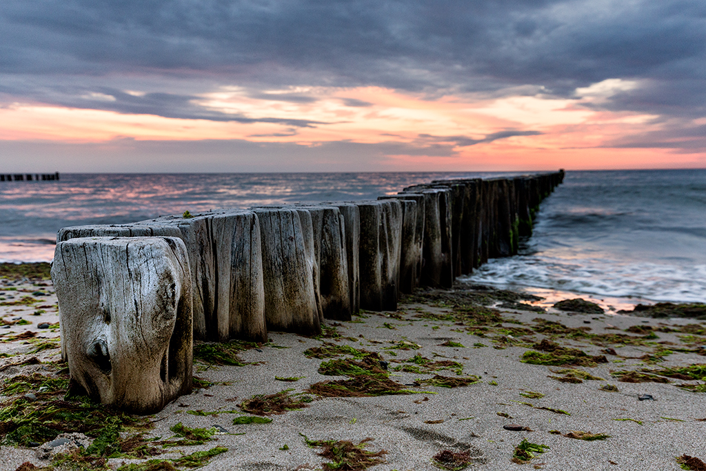 6D_29153_1024.jpg - Buhnen, Ostseeküste