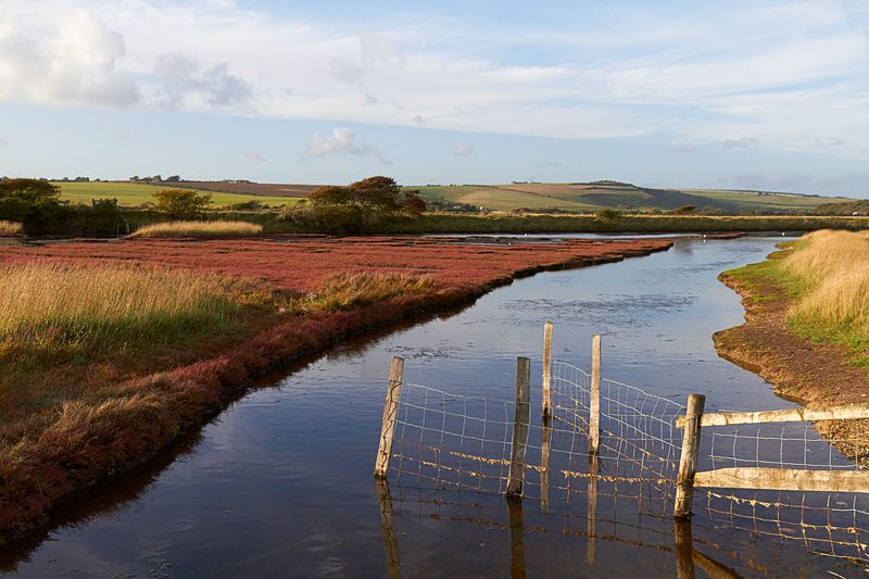 IMG_02126_7D_800.jpg - Chukmare Haven, East Sussex