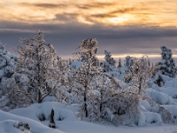 An der Sächsische Böhmischen Grenze, Osterzgebirge  6D 105068-HDR 1024 © Iven Eissner : Aufnahmeort, Deutschland, Erzgebirge, Europa, Sachsen, Winter
