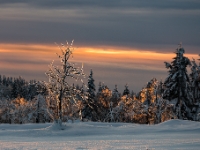 "Glastraum II", Osterzgebirge  6D 105266 1024 © Iven Eissner : Aufnahmeort, Deutschland, Erzgebirge, Europa, Facebook, Sachsen, veröffentlicht, Winter