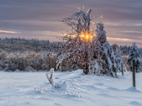 Winterlandschaft, Zinnwald, Osterzgebirge  6D 105269-HDR-2 1024 © Iven Eissner : Aufnahmeort, Deutschland, Erzgebirge, Europa, Sachsen, Winter