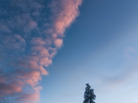 Abend über Zinnwald  6D 105318 1024 © Iven Eissner : Aufnahmeort, Deutschland, Erzgebirge, Europa, Sachsen, Winter