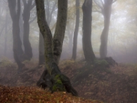 Krušné hory  6D 148147 2k © Iven Eissner : Aufnahmeort, Böhmen, Erzgebirge, Europa, Ore Mountains, Tschechien