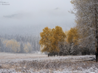6DII_05396_NAL Herbstschnee, Hillsdale Meadow, Banff National Park