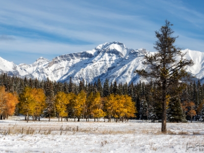 6DII_06120-HDR_V2_NAL Wintereinbruch, Banff National Park