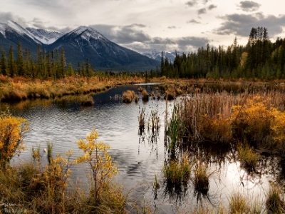 6DII_07170_NAL Vermilion Lakes, Banff National Park