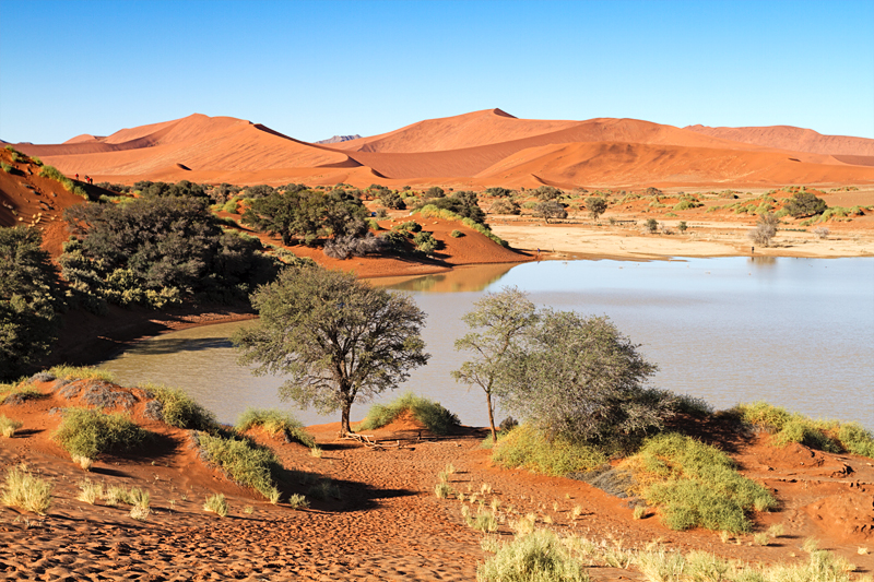 7D_18988_RAW_800.jpg - Sossusvlei