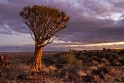 7D_17754_RAW_800