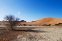 7D_18526_800