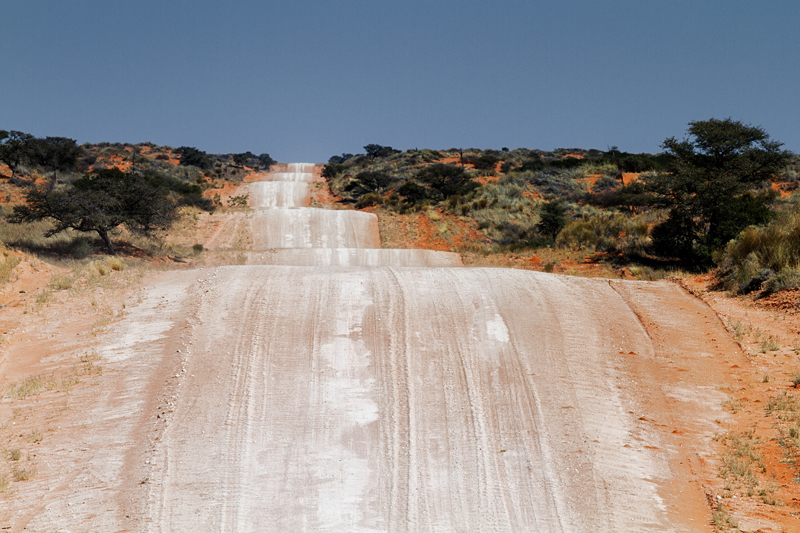 7D_17648_RAW_800.jpg - Quer(!) durch die Kalahari - dass heißt man nimmt jeden Dünenbuckel mit! (D511)