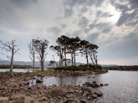 Loch Assynt  6D 21910 1024 © Iven Eissner