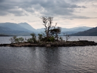 Insel im Loch Assynt  6D 22030 1024 © Iven Eissner