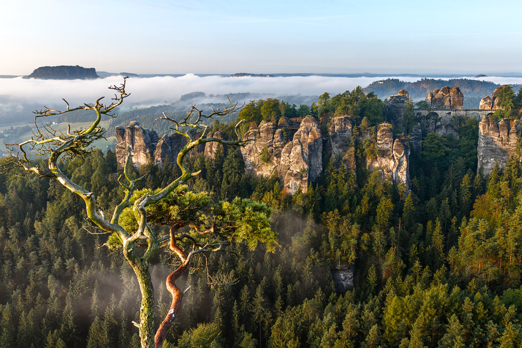 7D_22016_A_M_1024.jpg - Basteifelsen, Rathen, Elbsandsteingebirge
