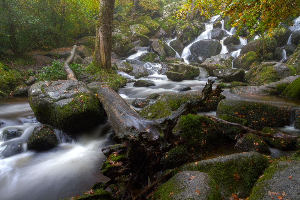 D7_24285_HDR_1024.jpg - Backy Falls, Dartmoor, England, UK