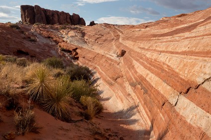 6D_01728_HD