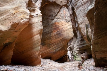 Pine Creek