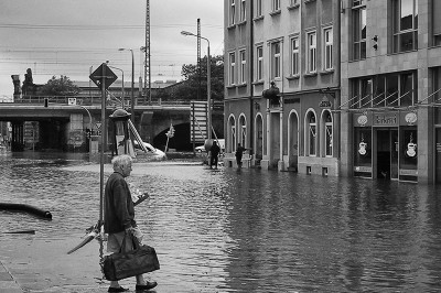 119-1922_IMG Suchend...