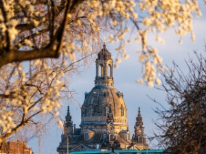 Frühling, Parks und Blüten